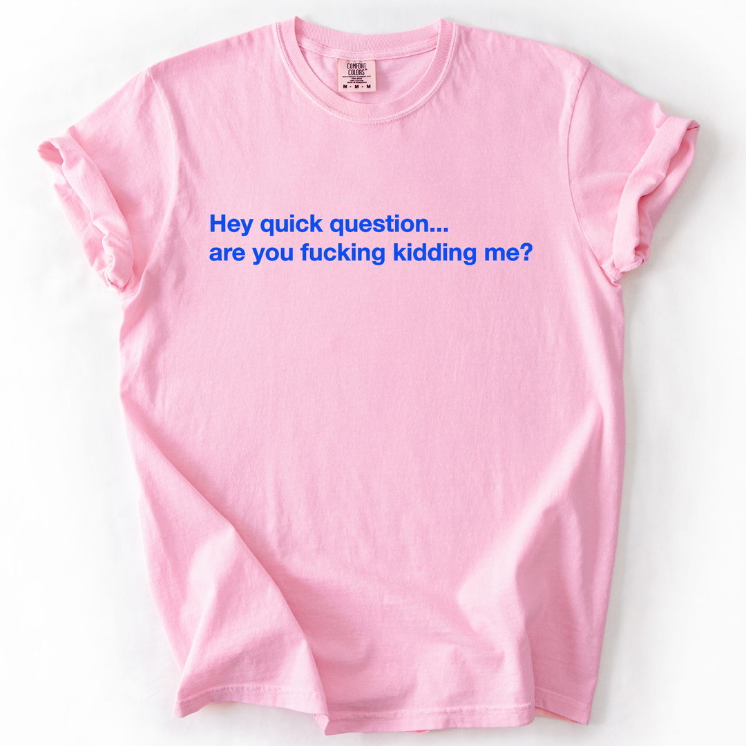 Hey Quick Question, Are You Kidding Me, Sarcastic T-Shirt
