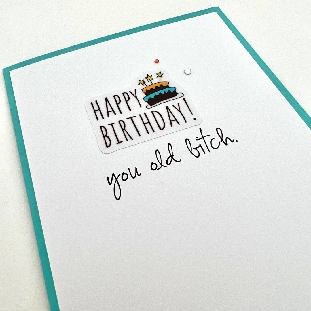 Birthday You Old Bitch Card