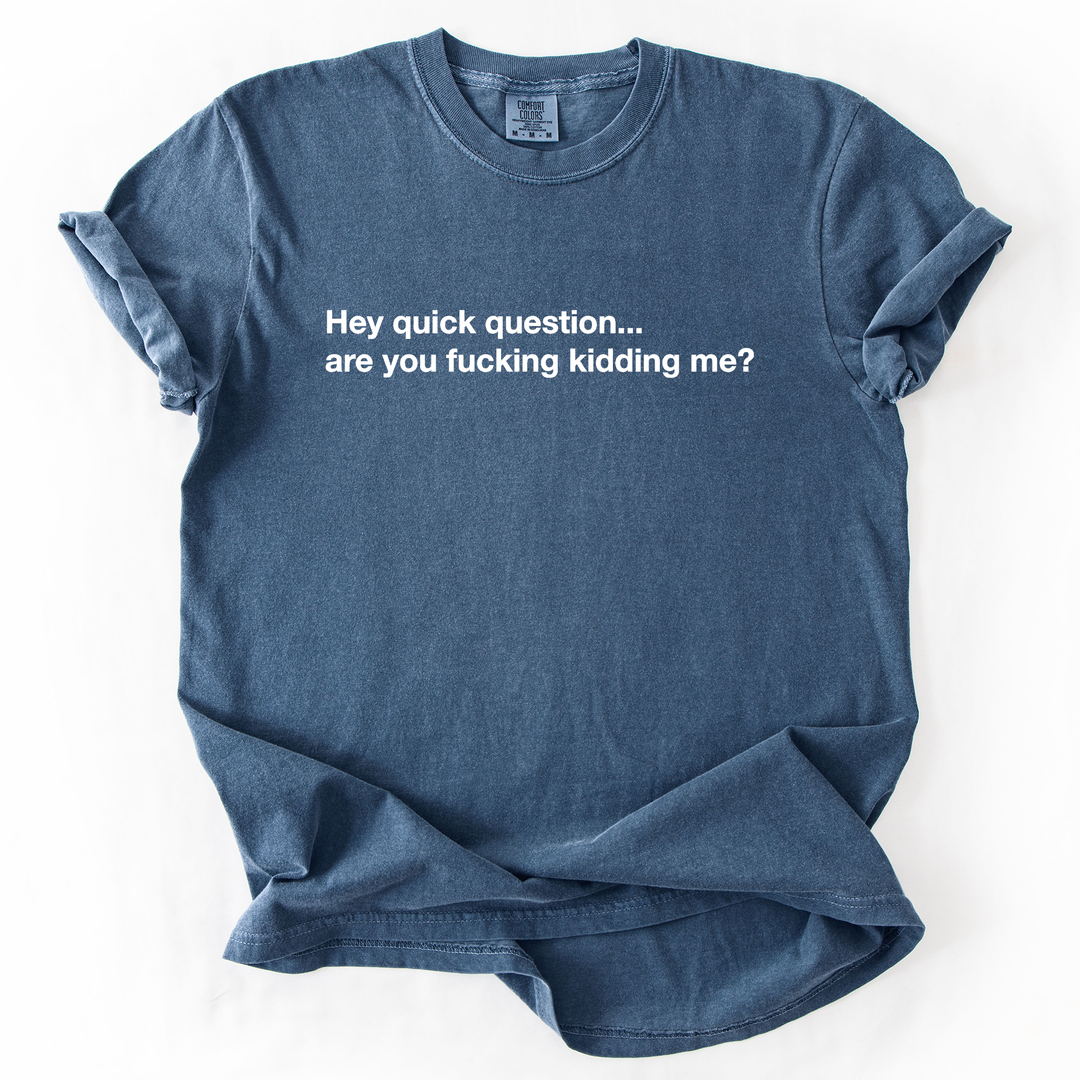 Hey Quick Question, Are You Kidding Me, Sarcastic T-Shirt