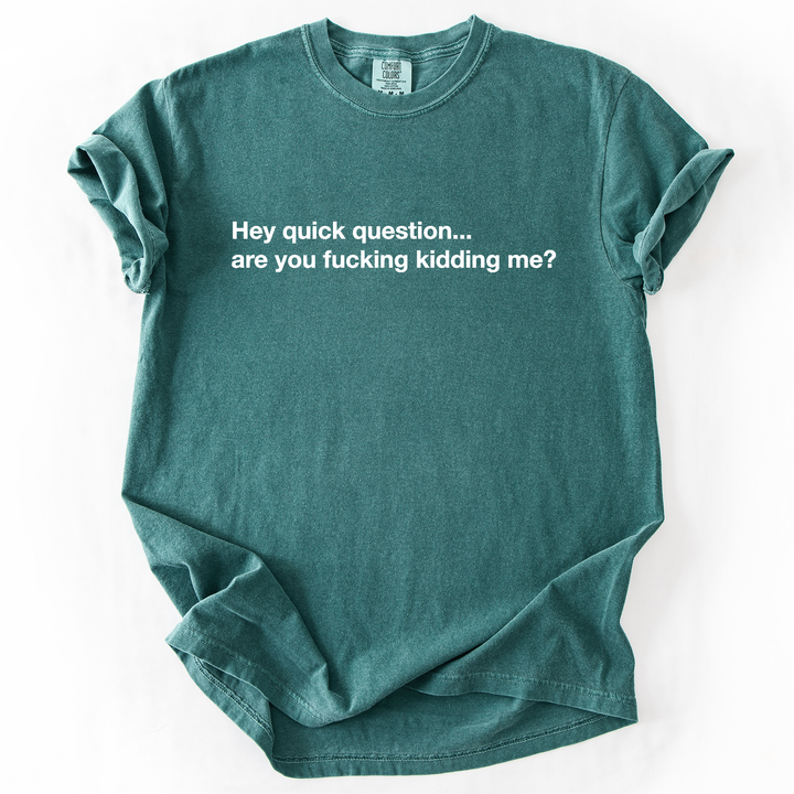 Hey Quick Question, Are You Kidding Me, Sarcastic T-Shirt
