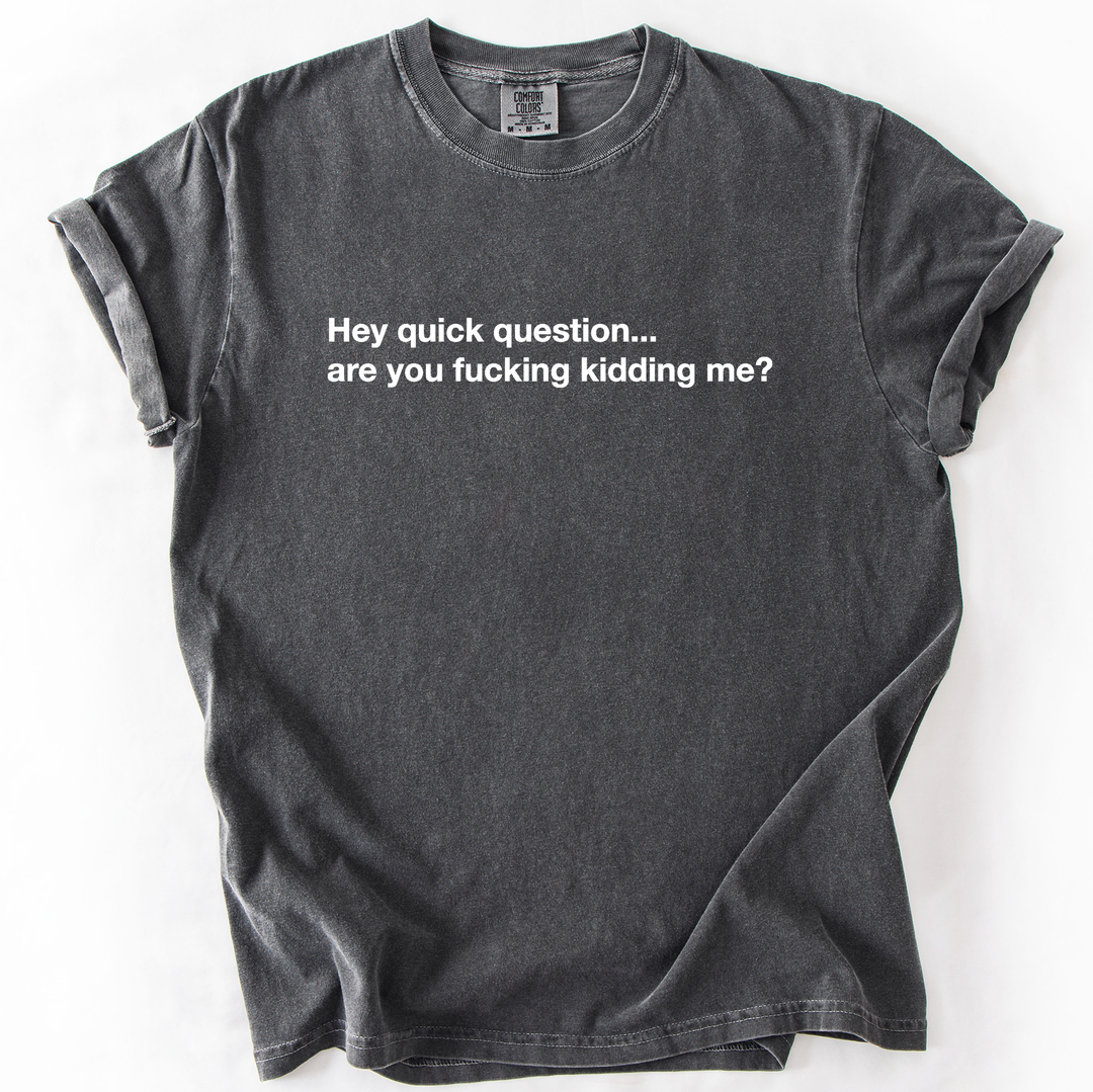 Hey Quick Question, Are You Kidding Me, Sarcastic T-Shirt