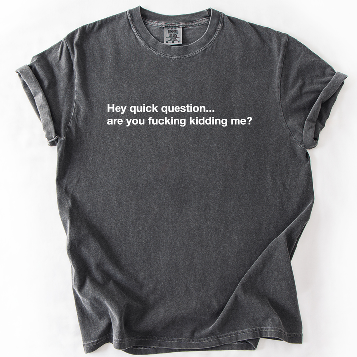 Hey Quick Question, Are You Kidding Me, Sarcastic T-Shirt
