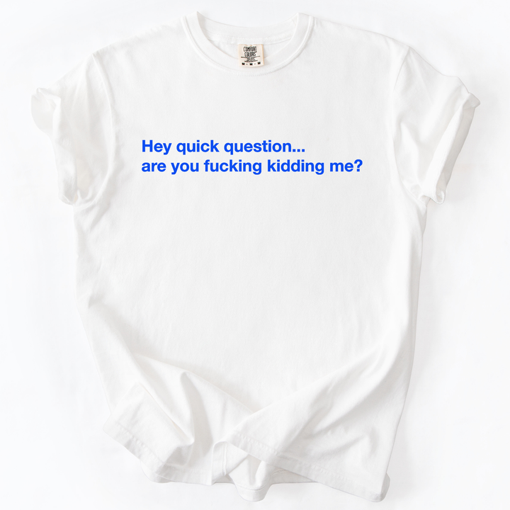 Hey Quick Question, Are You Kidding Me, Sarcastic T-Shirt
