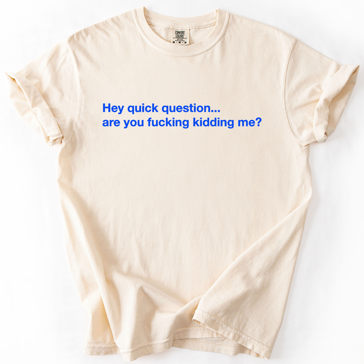 Hey Quick Question, Are You Kidding Me, Sarcastic T-Shirt