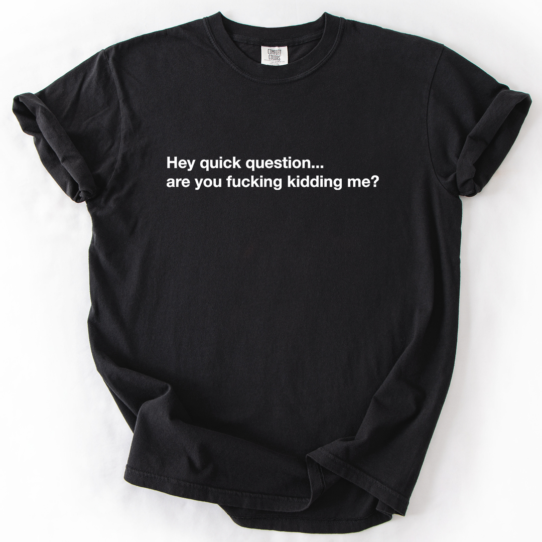Hey Quick Question, Are You Kidding Me, Sarcastic T-Shirt