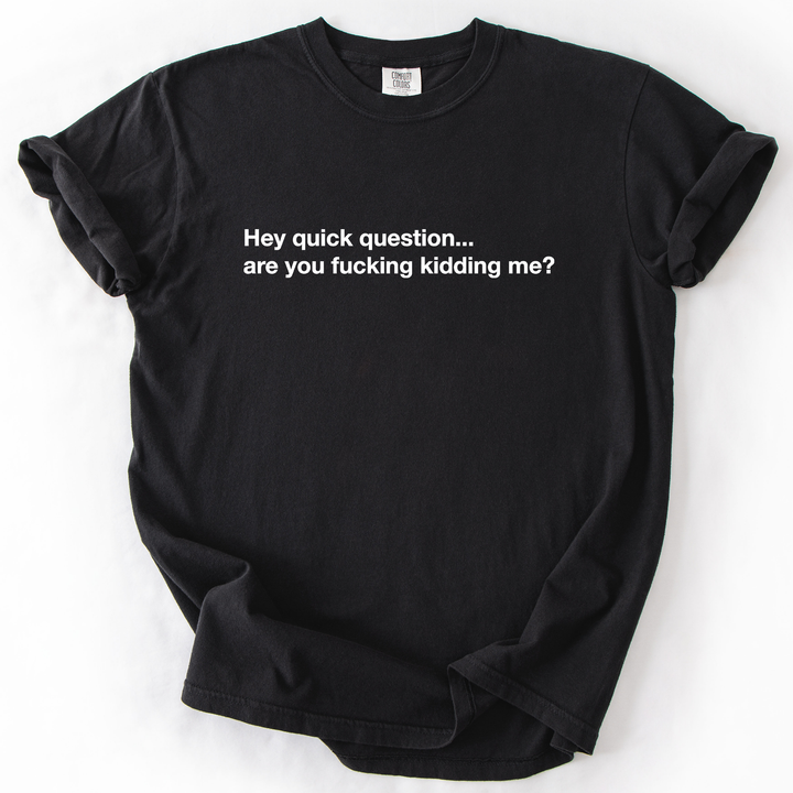 Hey Quick Question, Are You Kidding Me, Sarcastic T-Shirt